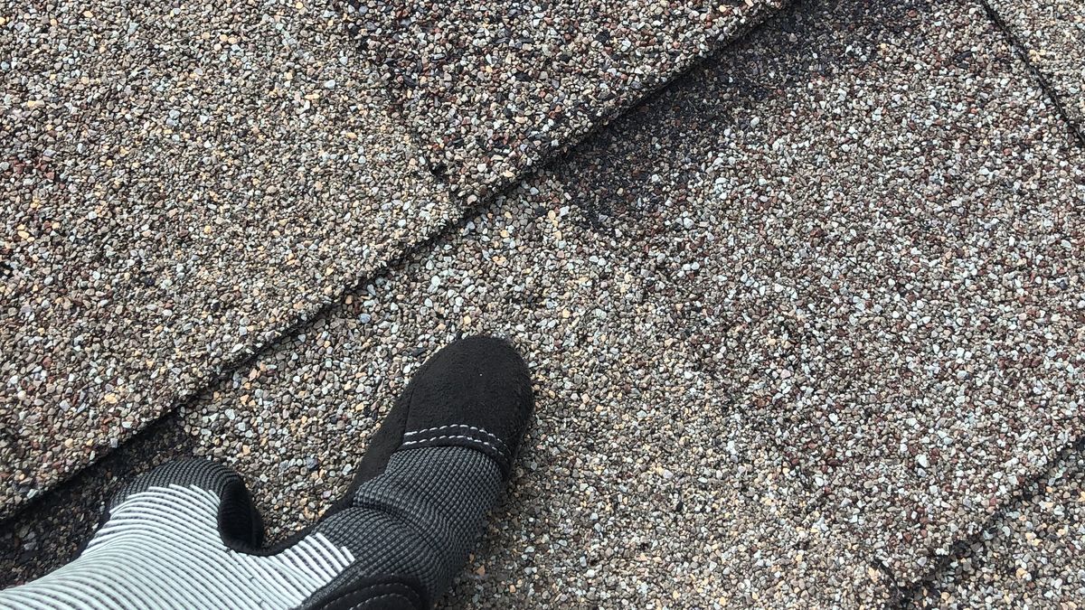 An insurance adjuster's view: documenting hail damage on an asphalt shingle roof