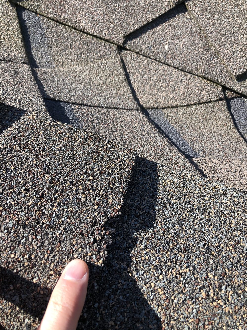 Roofer pointing at hail damage during a roof inspection in DFW