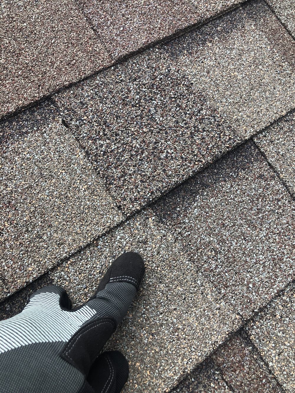 Close-up of hail damage on an asphalt shingle showing impact bruising and granule loss